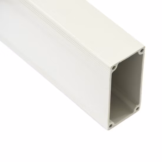 주문을 받아서 만들어지는 PVC 단면도 찬 밀어남 건축재료