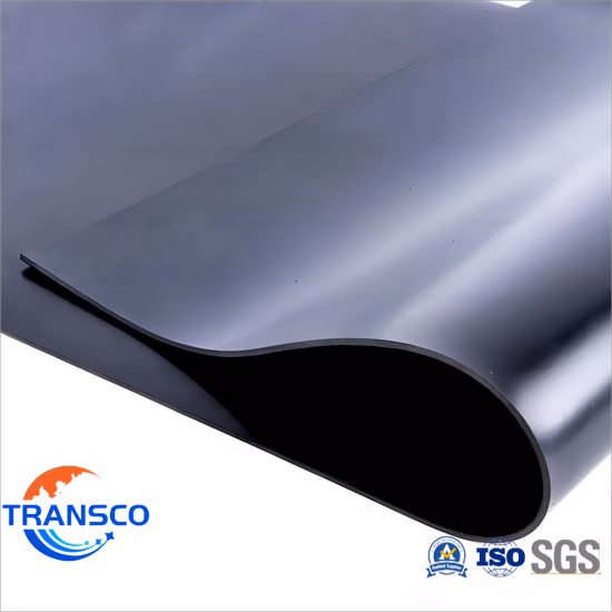 뜨거운 판매 저렴한 가격 EVA 매트, 자동차 바닥 매트, 애완 동물 매트, 고무/Pet/PE/HDPE/LDPE/PP/PS/PVC/PC/ABS/EPS/EVA 폼 시트